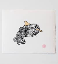 bobtail-squid